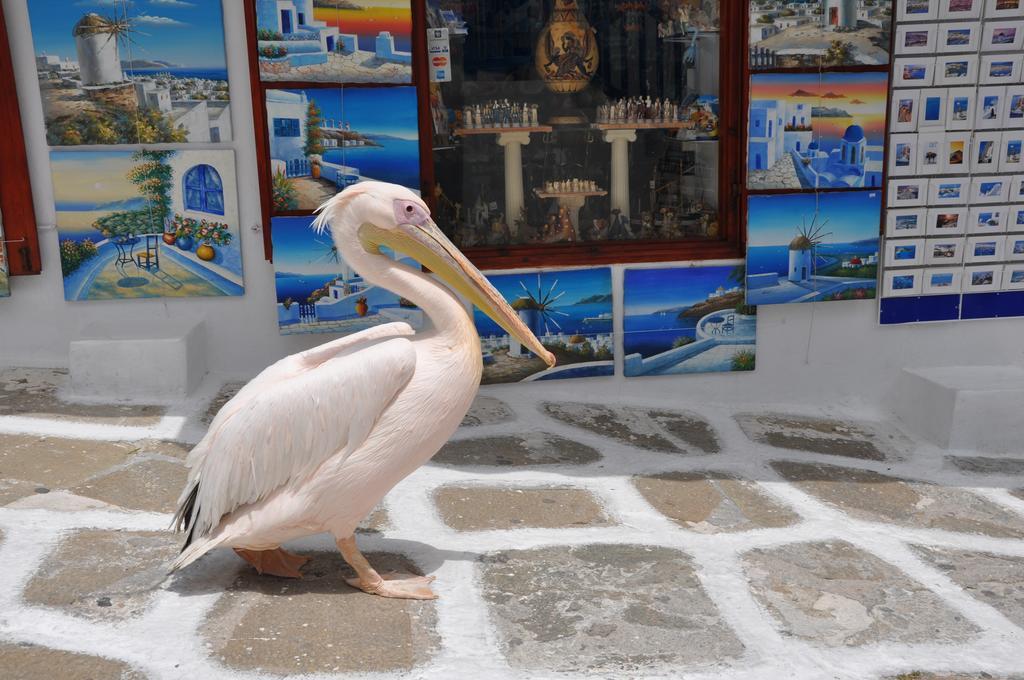 Bleland Mykonos Apartman Mykonos Town Kültér fotó